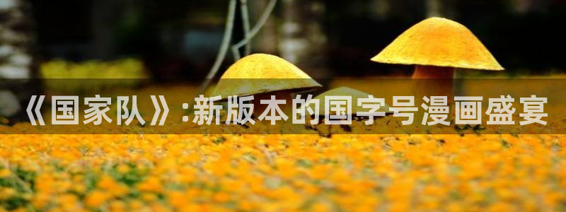 51漫画旧版本怎样下载：《国家队》:新版本的国字号漫画盛宴