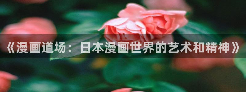 51漫画网官网：《漫画道场：日本漫画世界的艺术和精神》