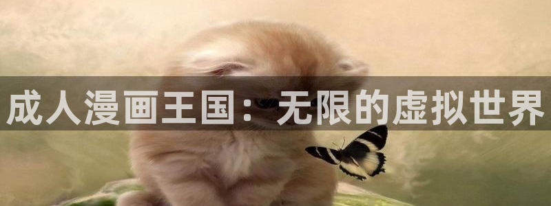 51漫画火影忍者：成人漫画王国：无限的虚拟世界